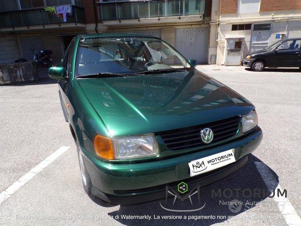 Volkswagen Polo 1.0 50CV PERFETTA!