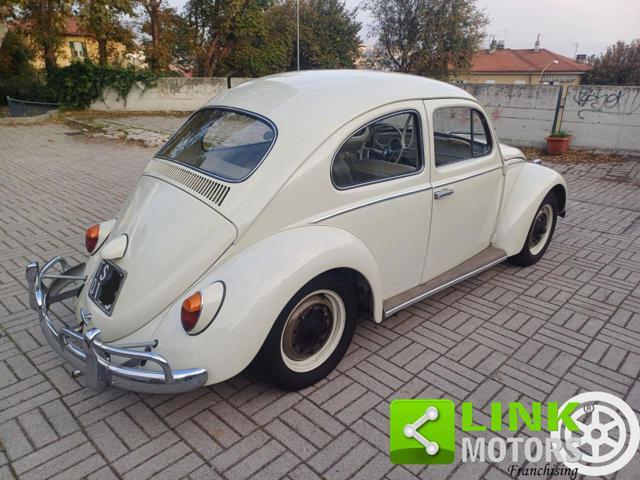 VOLKSWAGEN Maggiolino MY 63 in ordine di carrozzeria e meccanica