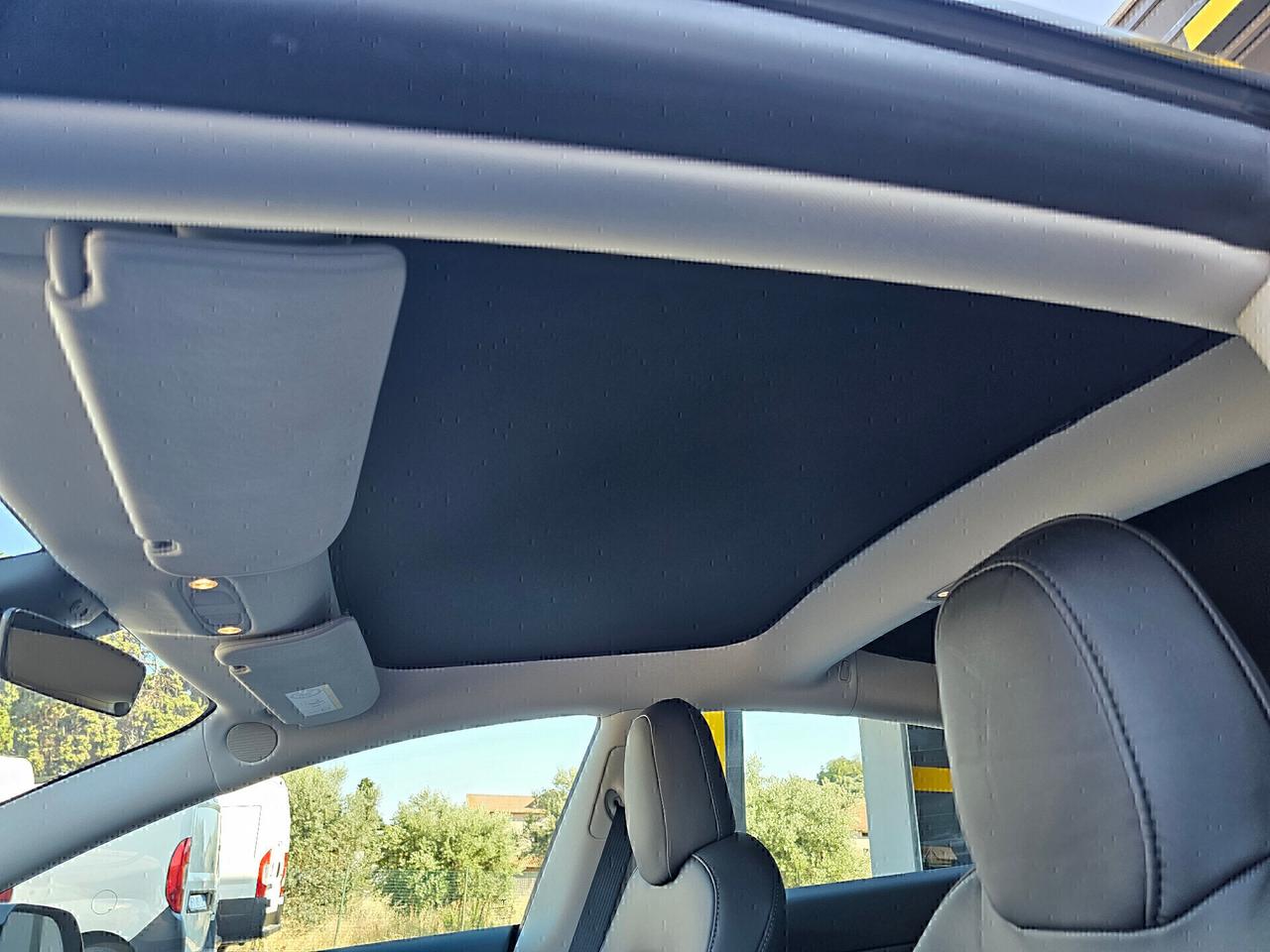 Tesla Model 3 Performance
