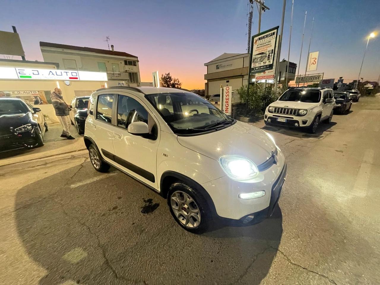 Fiat Panda 1.3 MJT S&S 4x4 Antartica