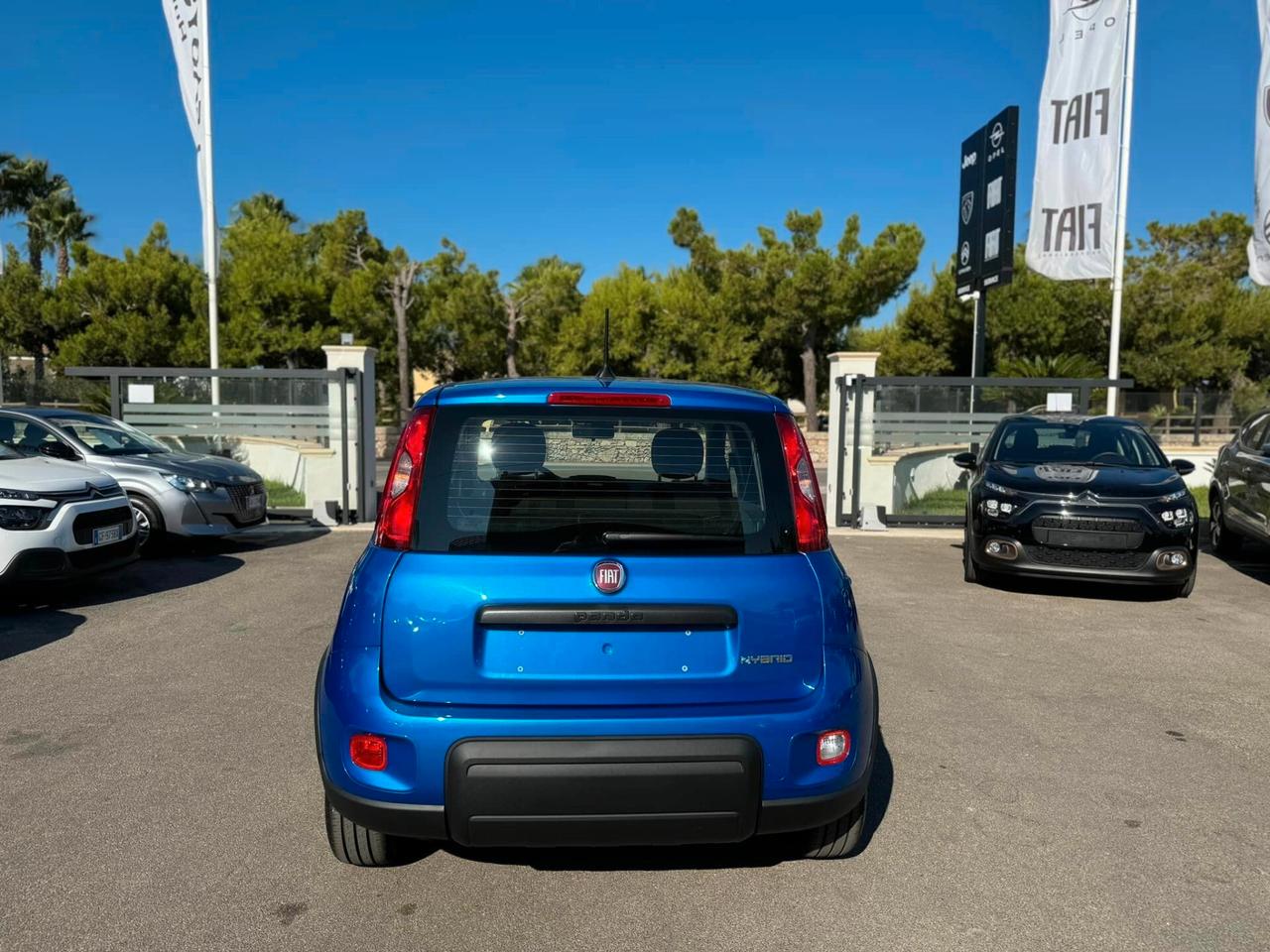 Fiat Panda 1.0 FireFly S&S Hybrid