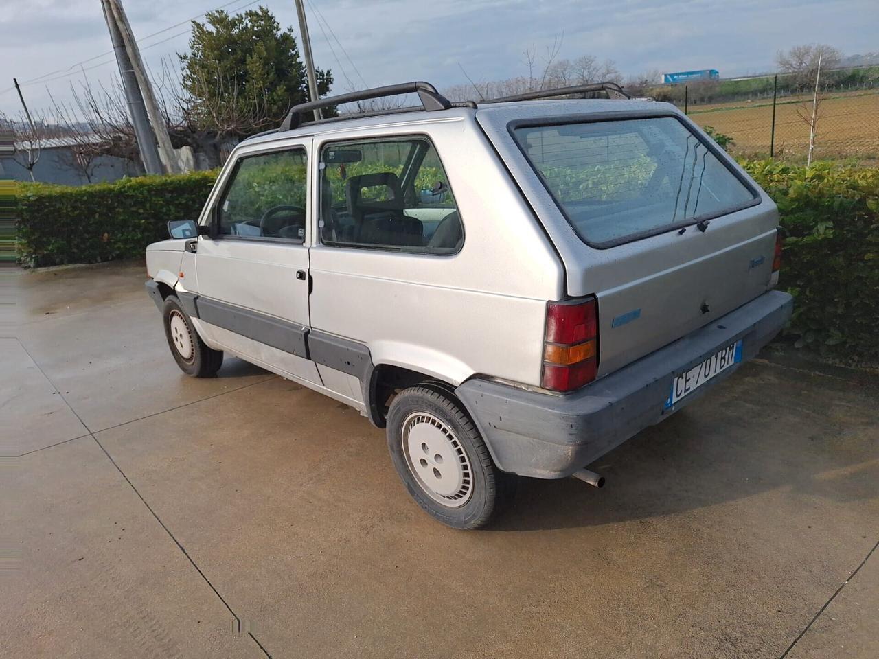 Fiat Panda 1100 i.e. cat Young