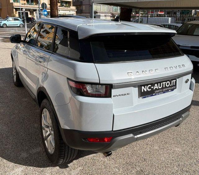 LAND ROVER Range Rover Evoque 2.0 TD4 150 CV 5p. Business Edition