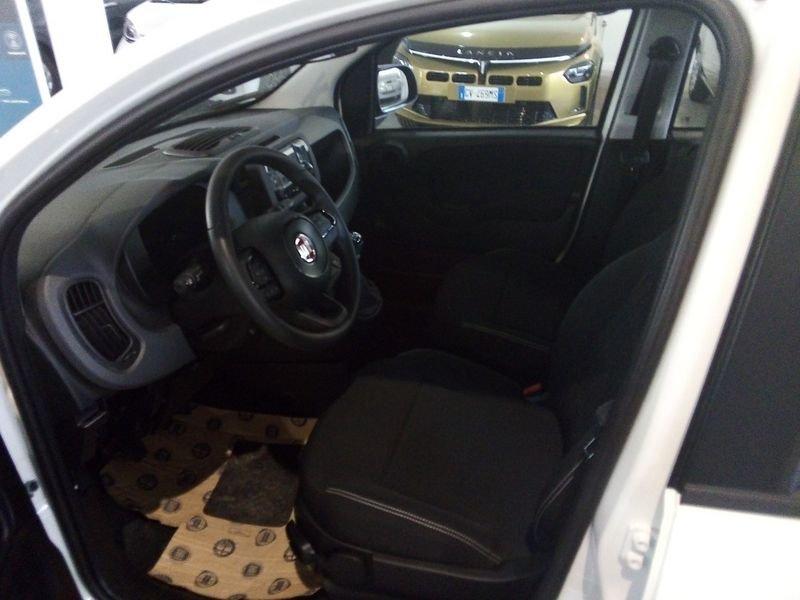 FIAT Panda NEW My25 1.0 70cv Hybrid Panda