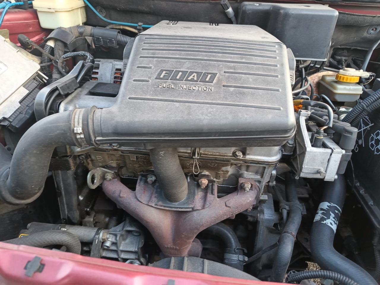 Fiat Punto 60 cat 5 porte Star