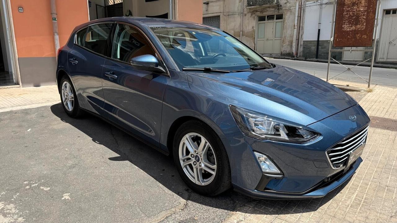 Ford Focus 1.5 EcoBlue 95 CV 5p. Business
