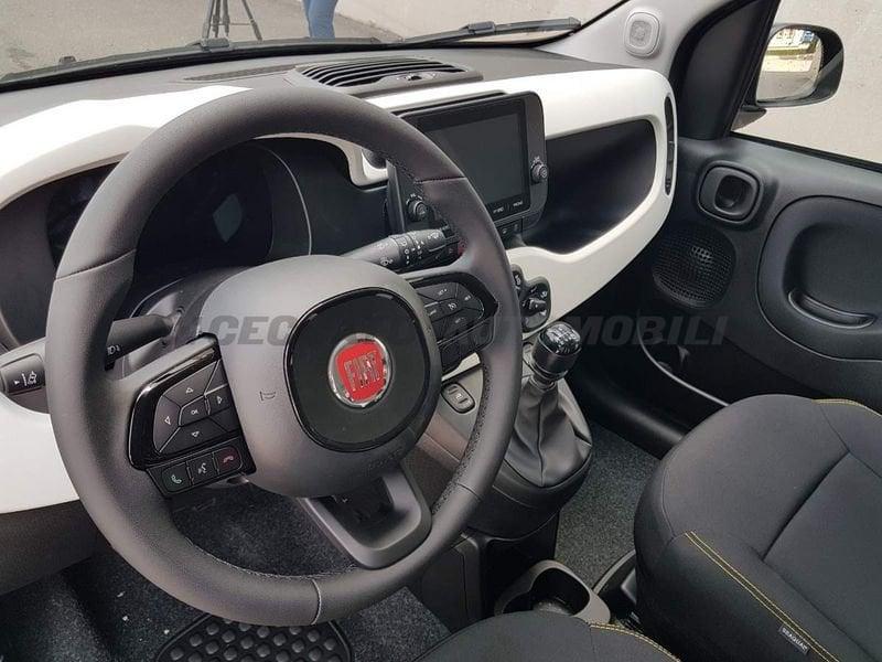 FIAT Panda Panda My25 1.0 70cv Hybrid Pandina