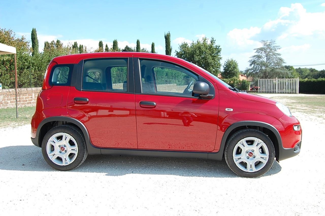 Fiat Panda 1.0 FireFly S&S Hybrid