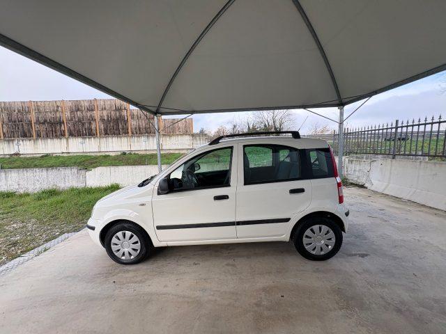 FIAT Panda 1.2 BENZ EURO 5 NEOP OK DISTRIBUZIONE FARI FENDI