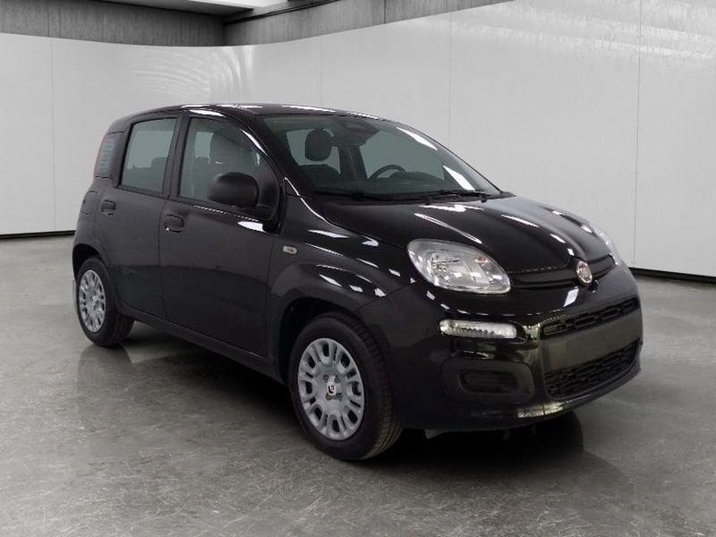 FIAT Pandina 1.0 firefly hybrid Icon s&s 70cv 5p.ti