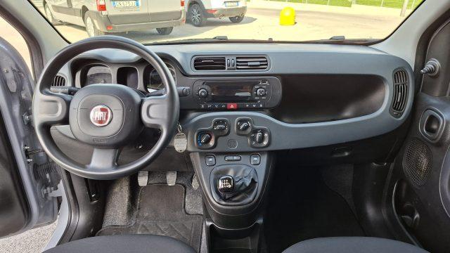 FIAT Panda 1.0 FireFly Hybrid City Life LEGGE 104 IVA ESPOSTA