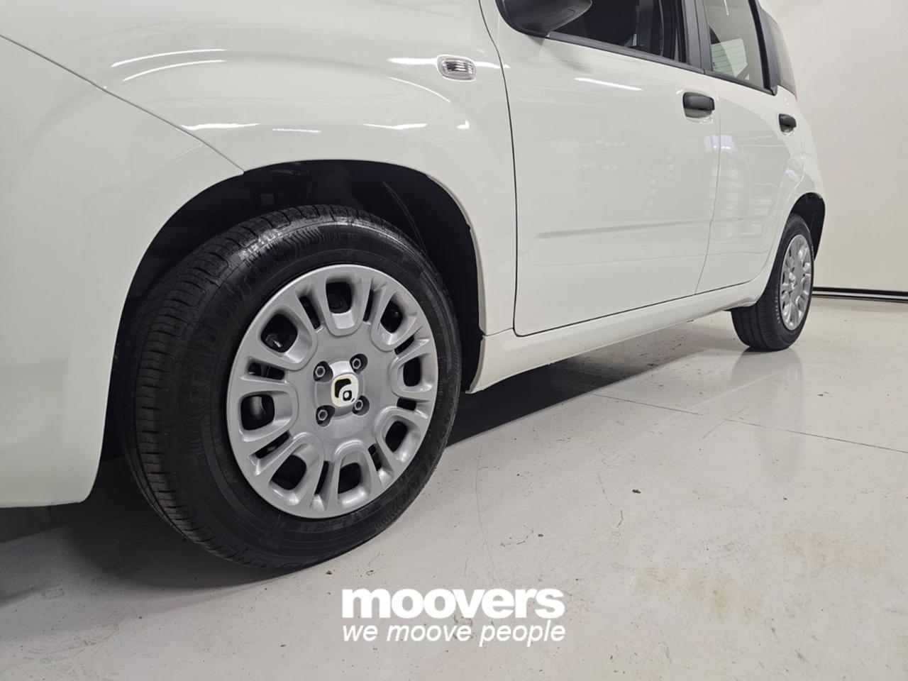 FIAT Panda 3ª serie 1.0 FireFly S&S Hybrid Pandina