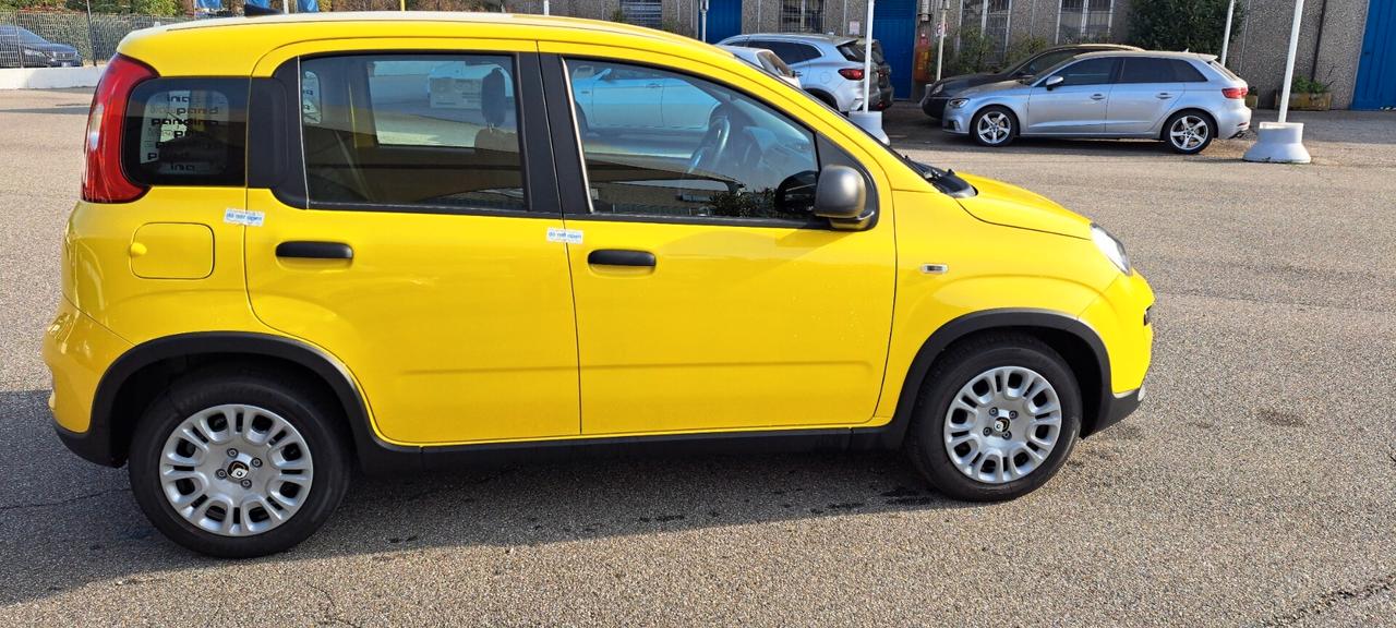 Fiat Panda 1.0 FireFly S&S Hybrid