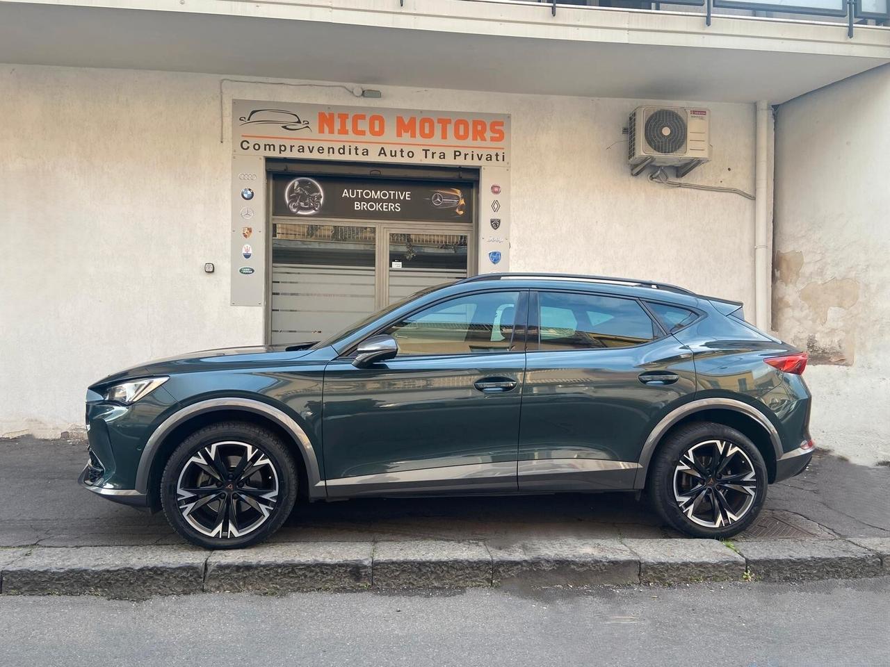 Cupra Formentor 2.0 TDI 4Drive DSG