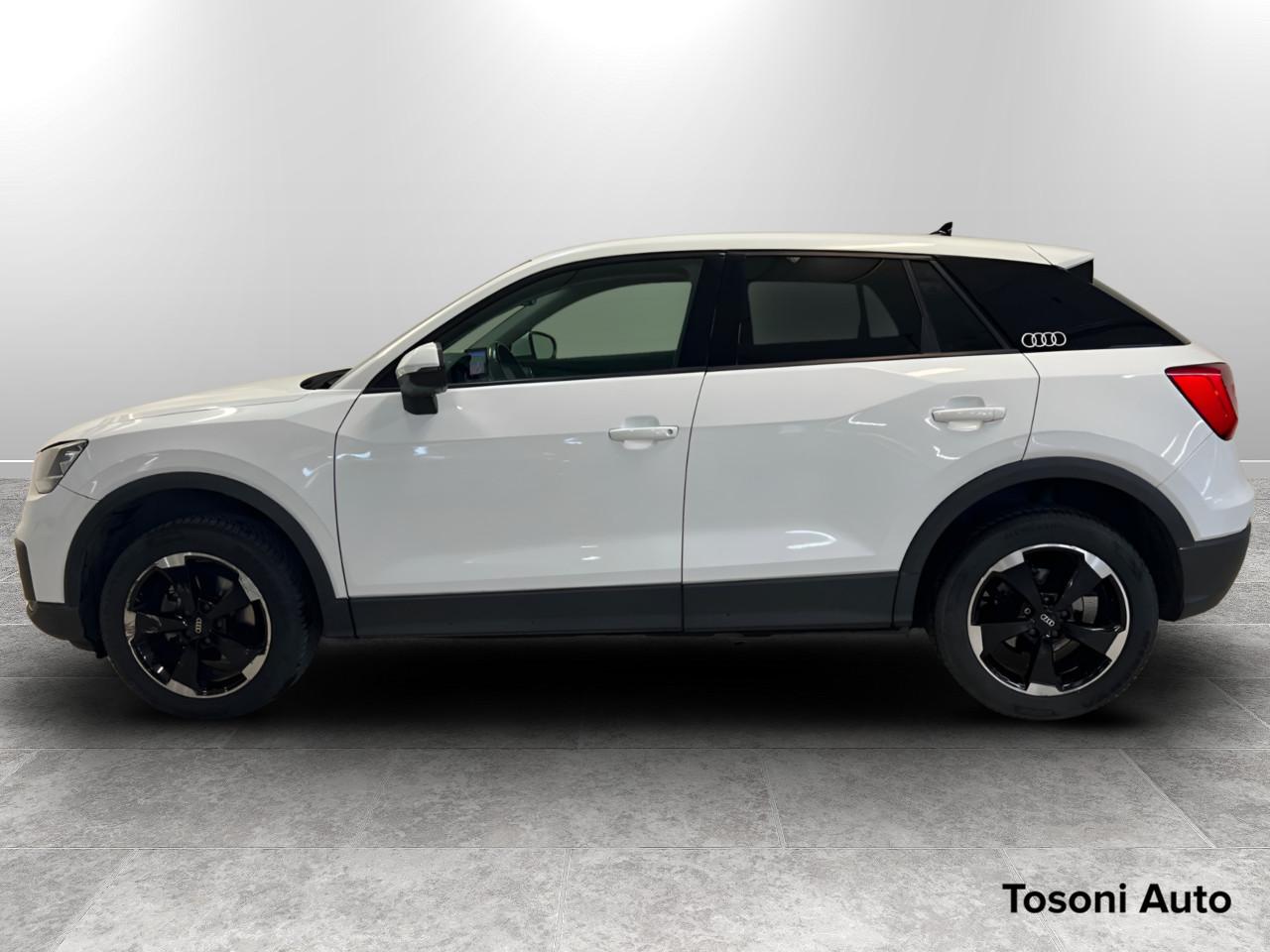 AUDI Q2 30 1.0 tfsi Business my19