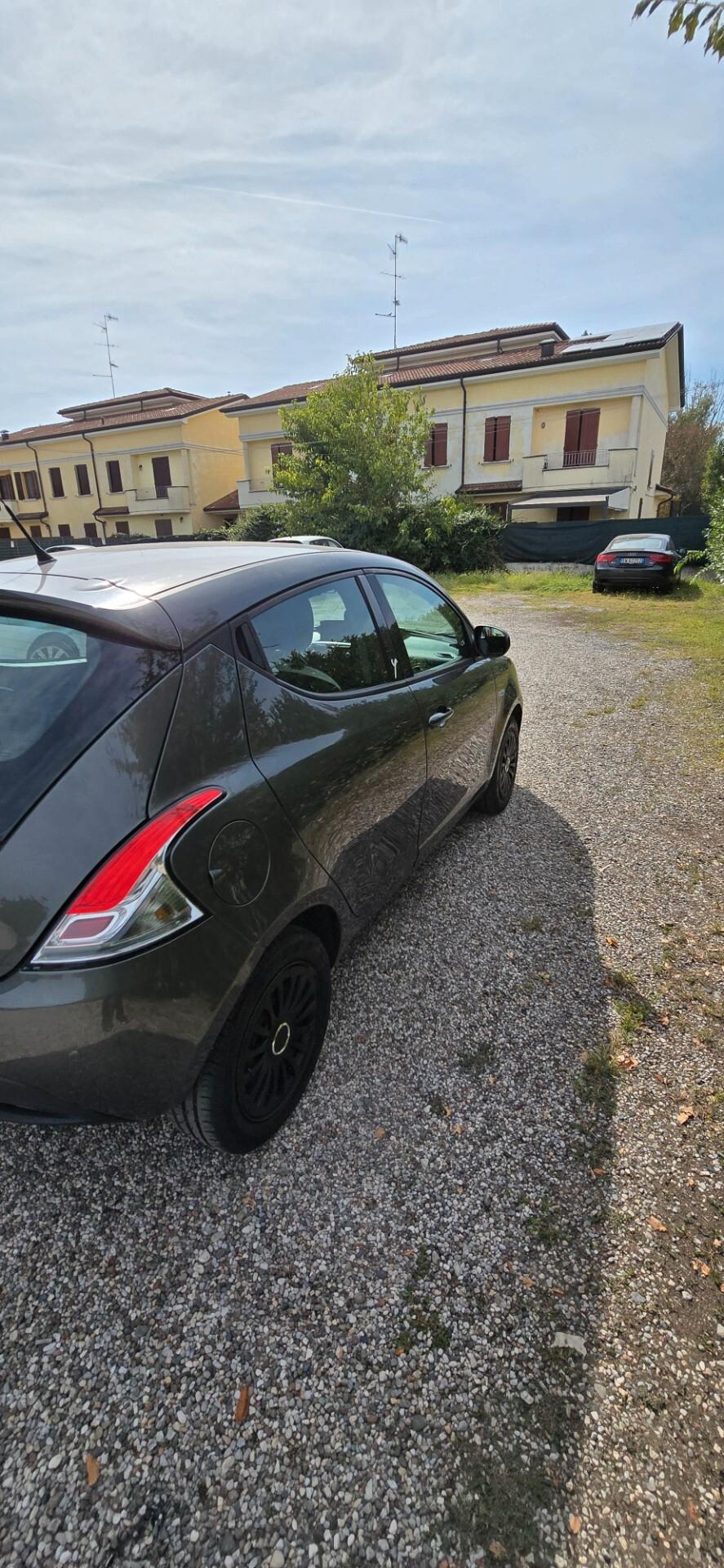 Lancia Ypsilon 1.3 MJT 16V 95 CV 5 porte S&S Elefantino
