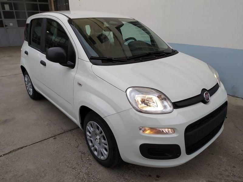 FIAT Panda 1.0 70cv Hybrid Promo CBC 5