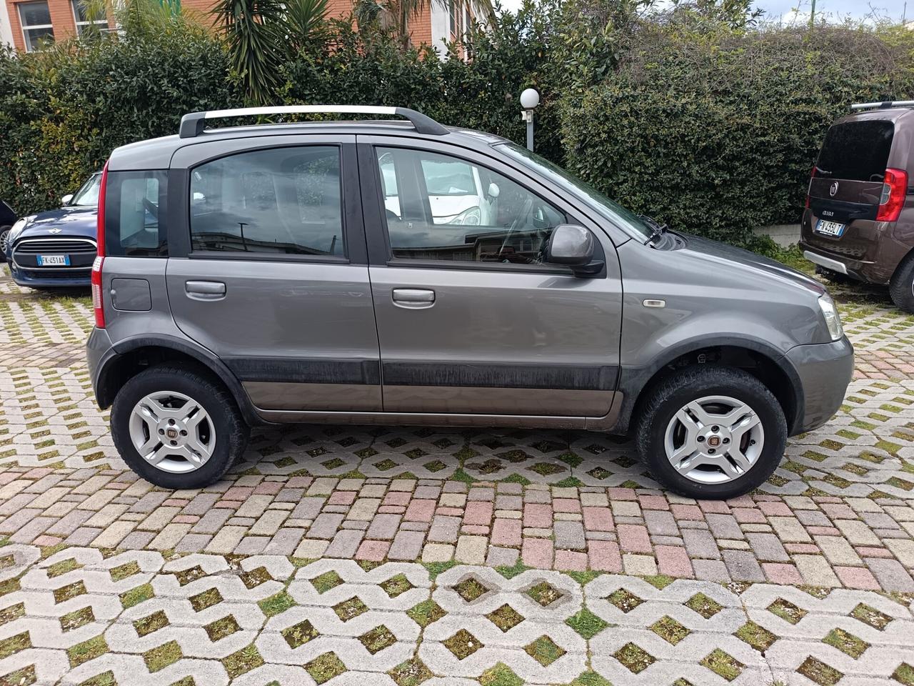 Fiat Panda 1.3 MJT 16V DPF 4x4 Climbing