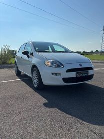 FIAT Punto Punto 1.4 8V 5 porte Easypower Street
