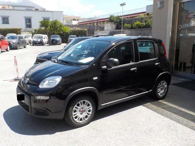 FIAT Panda MY25 - 1.0 FireFly Hybrid ICON