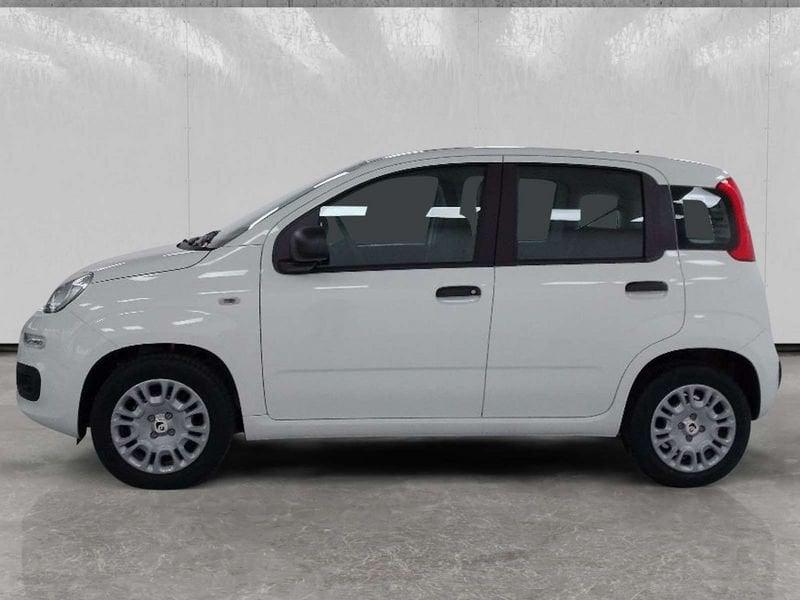 FIAT Pandina 1.0 firefly hybrid Pop s&s 70cv