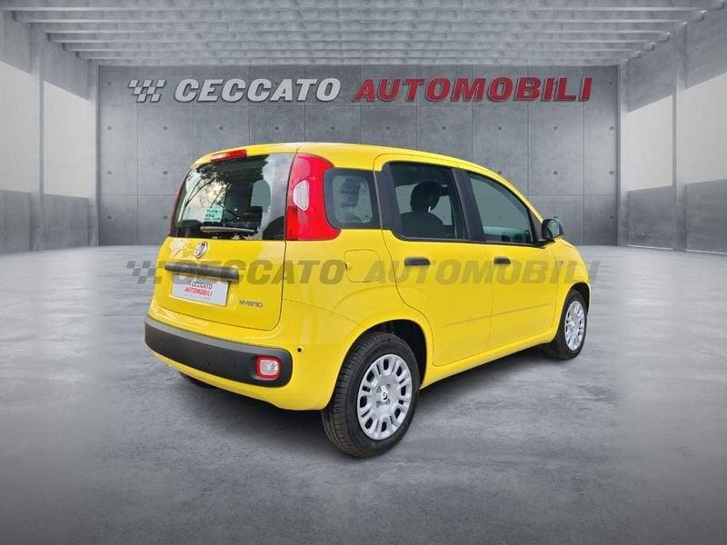 FIAT Panda Panda 1.0 70cv Hybrid Icon