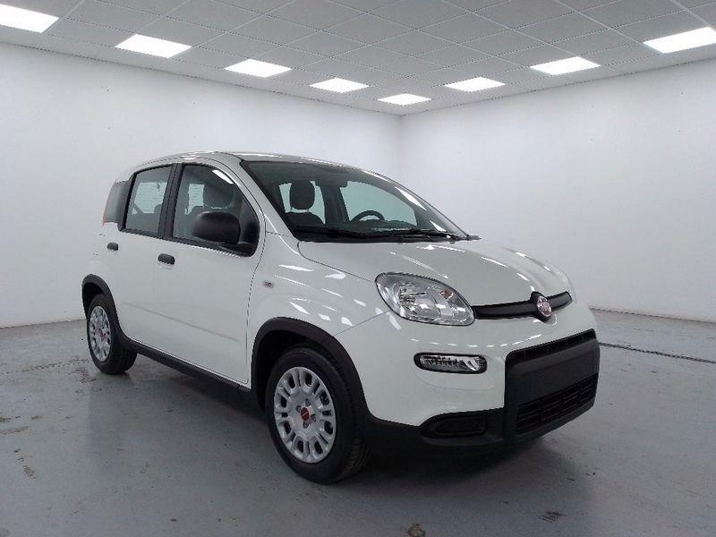 FIAT Panda 1.0 firefly hybrid s&s 70cv 5p.ti