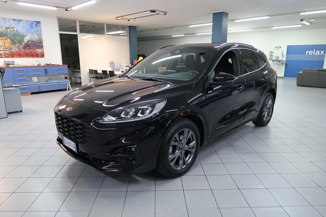 Ford Kuga 2.0 EcoBlue 120 CV aut. ST-Line