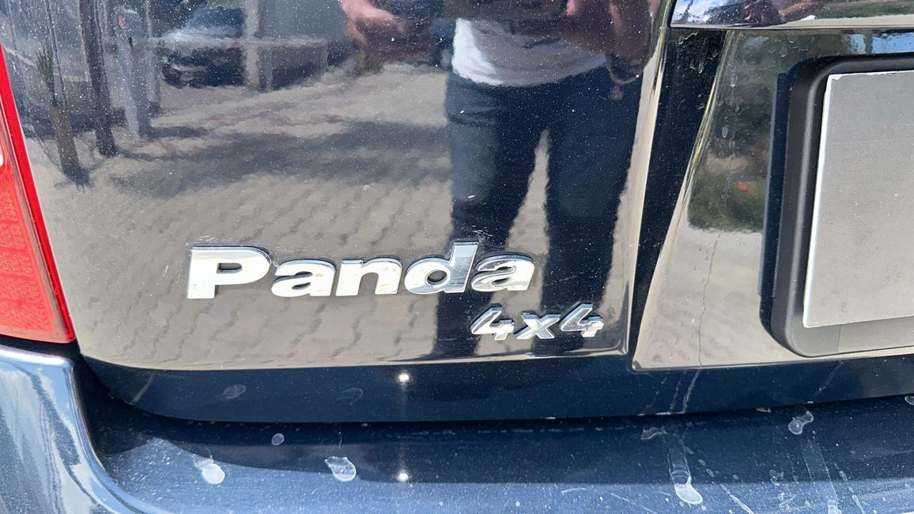 Fiat Panda FIAT PANDA 4X4 1.2 BENZINA