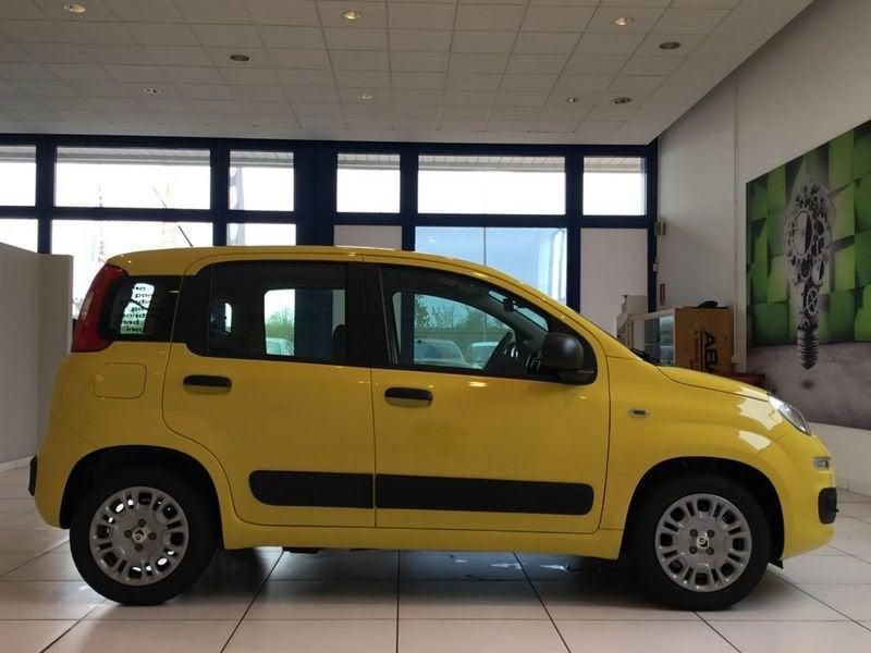 FIAT Panda Panda 1.0 FireFly S&S Hybrid Pop 65cv