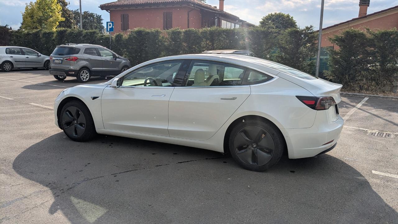 Tesla Model 3 Model 3 Standard RWD Plus