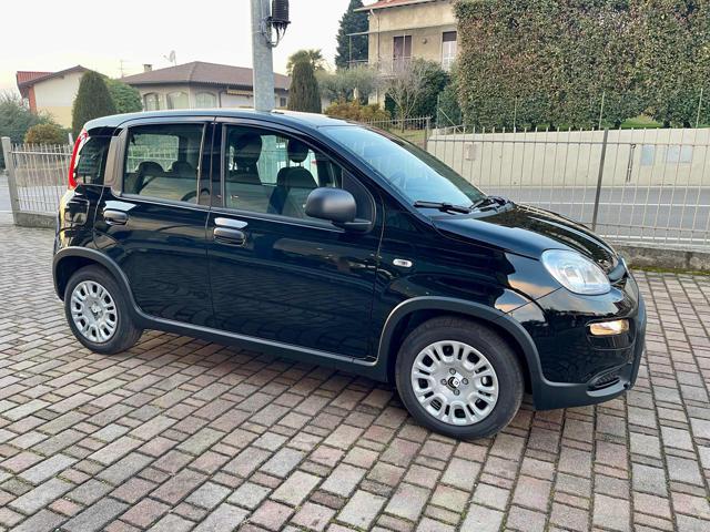 FIAT Panda 1.0 FireFly S&S Hybrid - KM0