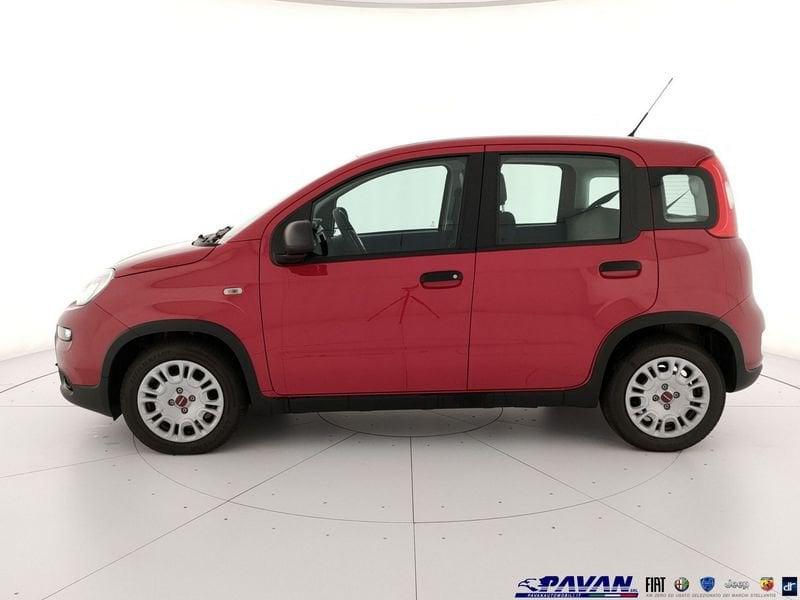 FIAT Pandina 1.0 Hybrid 65cv Icon