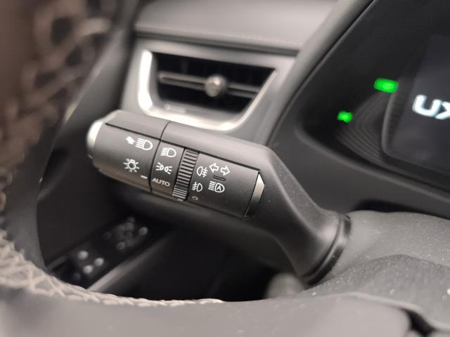 LEXUS UX 250h 250h 2.0 Midnight 2wd cvt