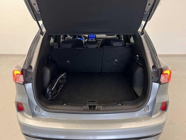 Ford Kuga 1.5 EcoBlue 120 CV 2WD ST-Line