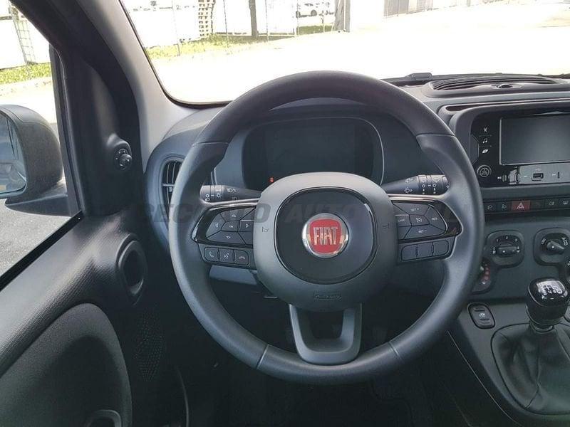 FIAT Panda Panda 1.0 70cv Hybrid Icon