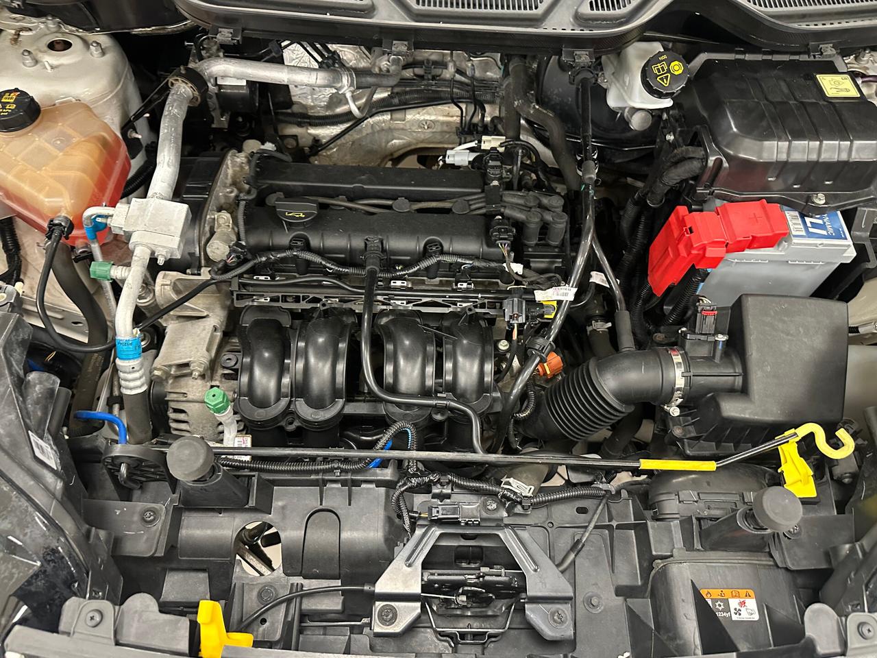 Ford EcoSport 1.5 110 CV Plus 2017