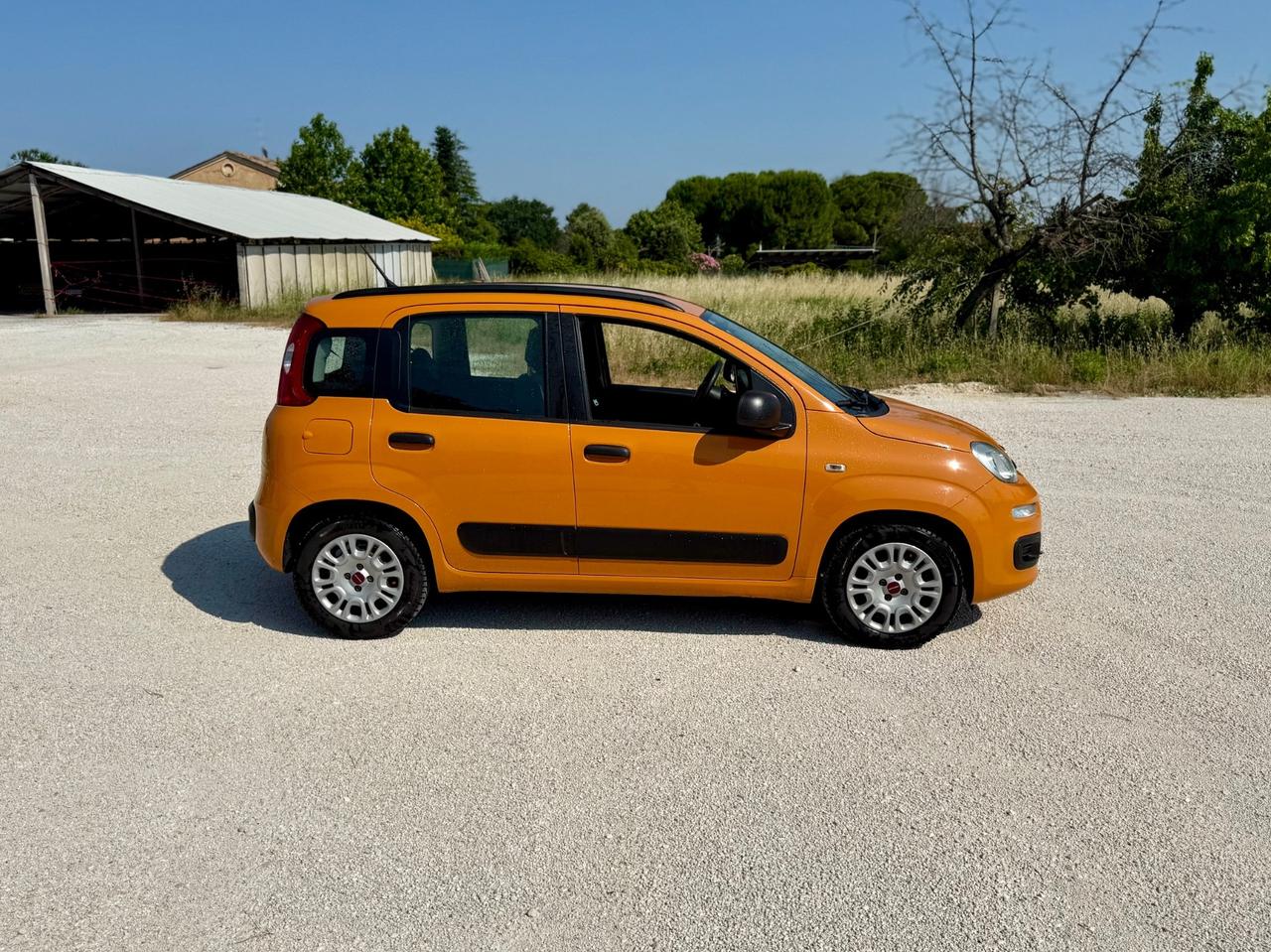Fiat Panda 1.2 GPL euro6B NEOPATENTATATI Unicoproprietario