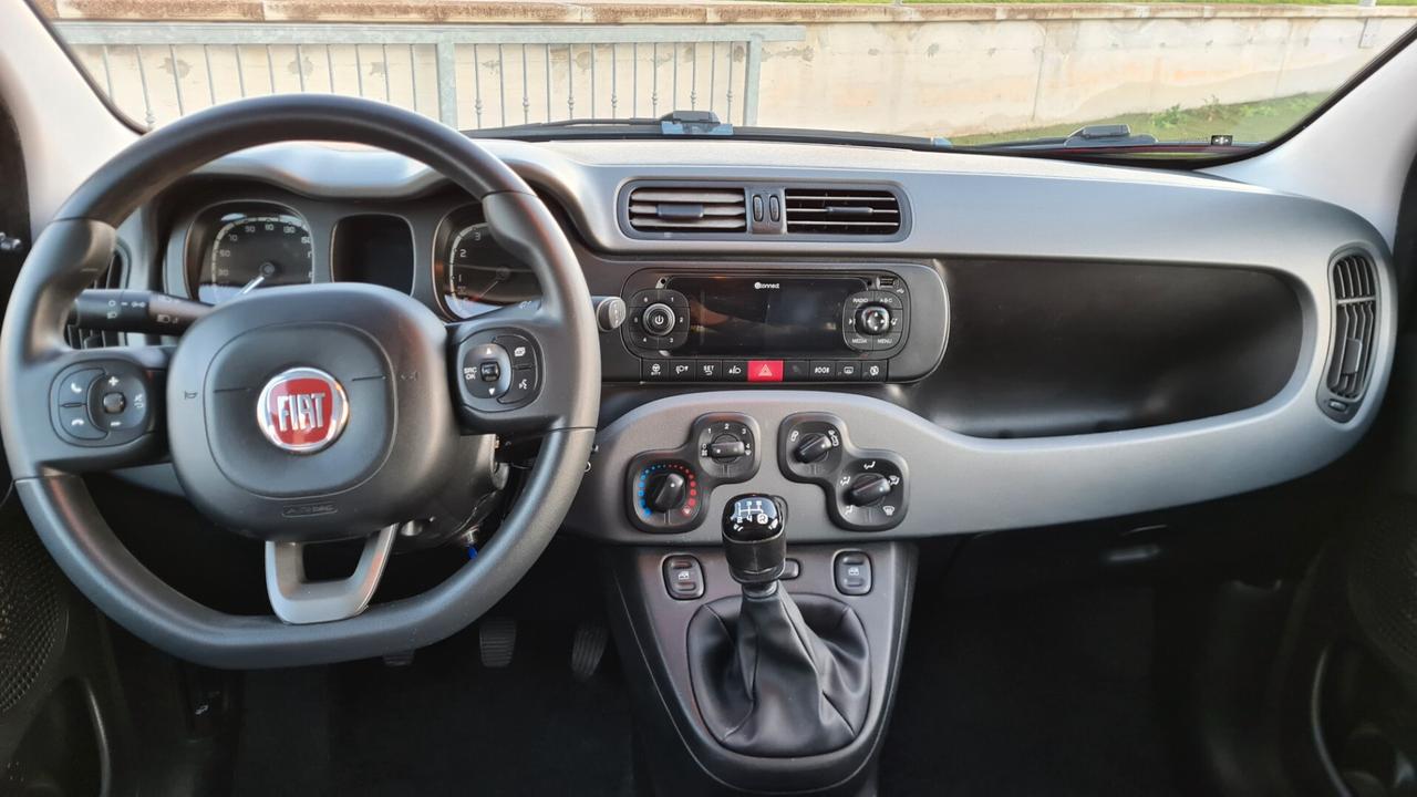 Fiat Panda 1.2 benz. 70 cv Lounge 2019 Neopatentati