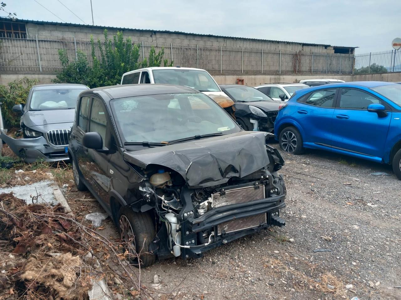 Fiat Panda 1.0 BENZINA IBRIDA ANNO 2025 SINISTRADA PANDINA
