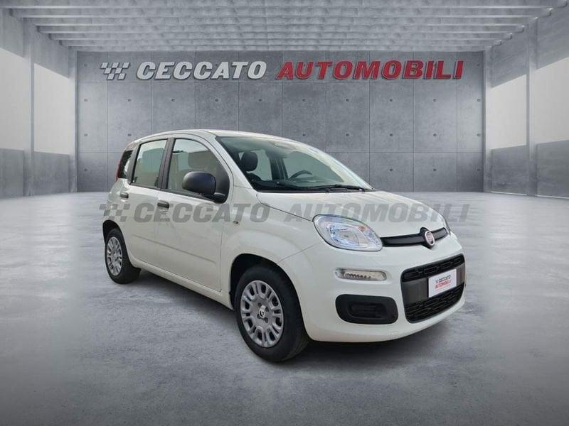 FIAT Panda Panda 1.0 70cv Hybrid Pop