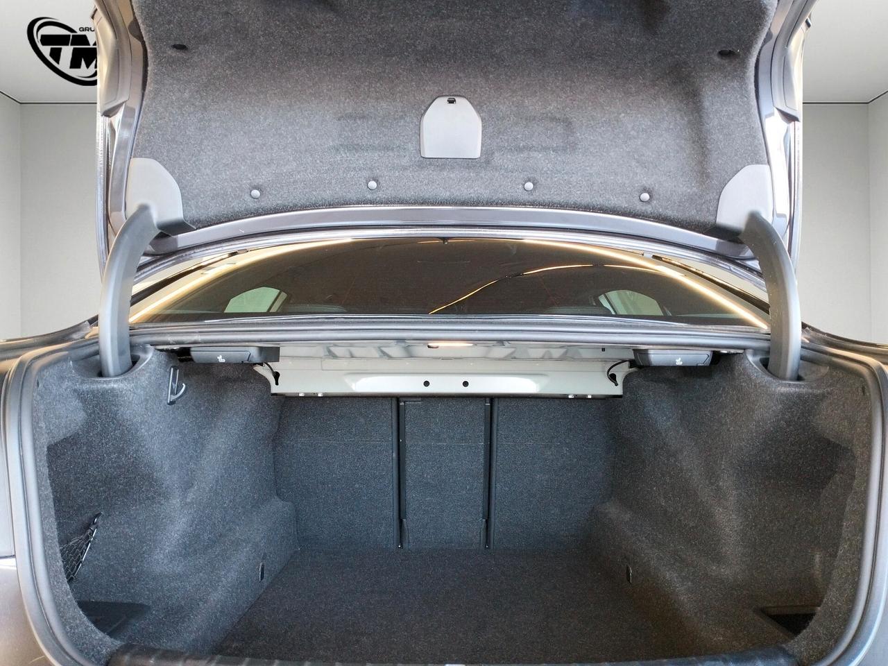 Bmw 520d 48V Business - TAGLIANDI BMW
