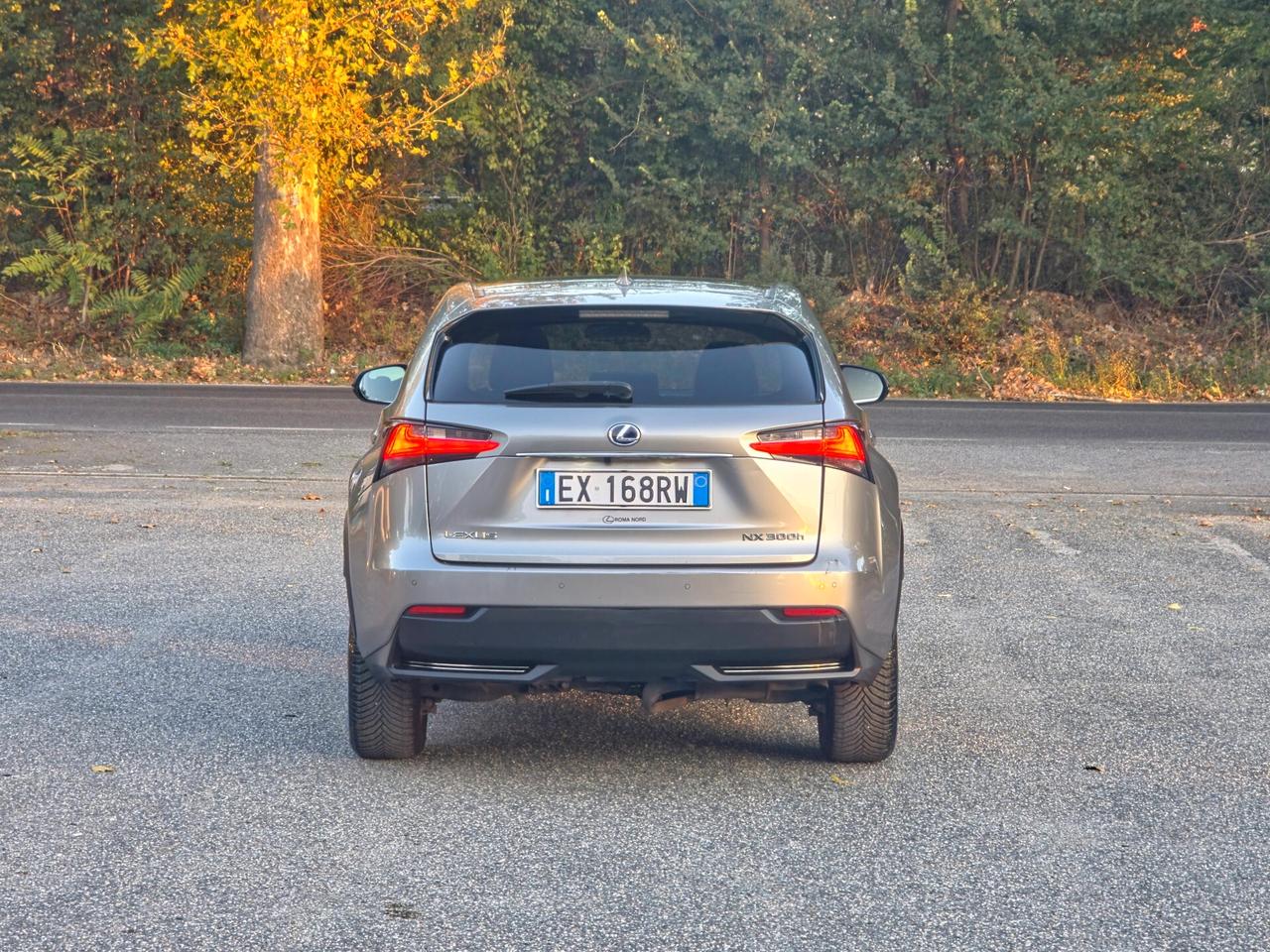Lexus NX 300h Hybrid 4WD CV-197 F-Sport E6 Automatico 2014