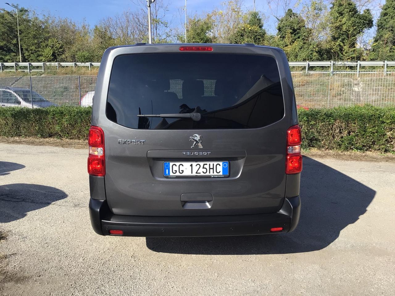 Peugeot Expert BlueHDi 120 S&S PL-SL-TN Combi Long