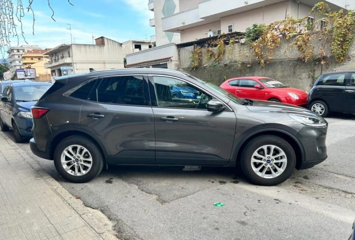Ford Kuga 1.5 EcoBlue 120 CV 2WD Titanium Business