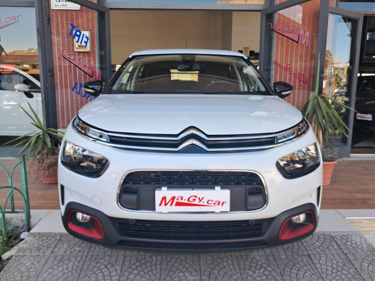 Citroen C4 Cactus BlueHDi 102 cv Shine