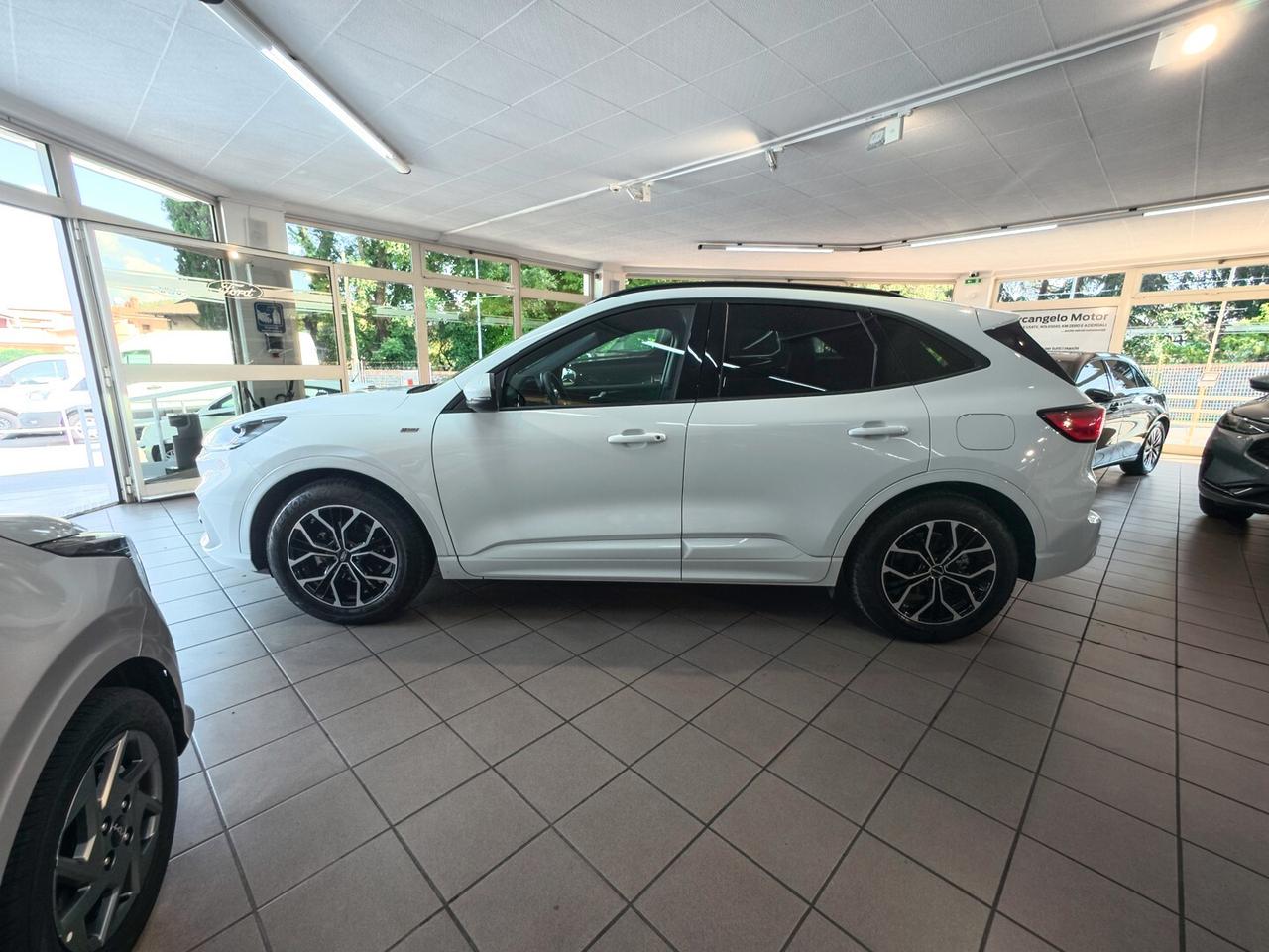 Ford Kuga 1.5 EcoBlue 120 CV 2WD ST-Line