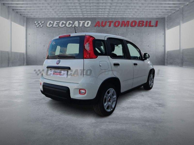 FIAT Panda Panda 1.0 firefly hybrid s&s 70cv