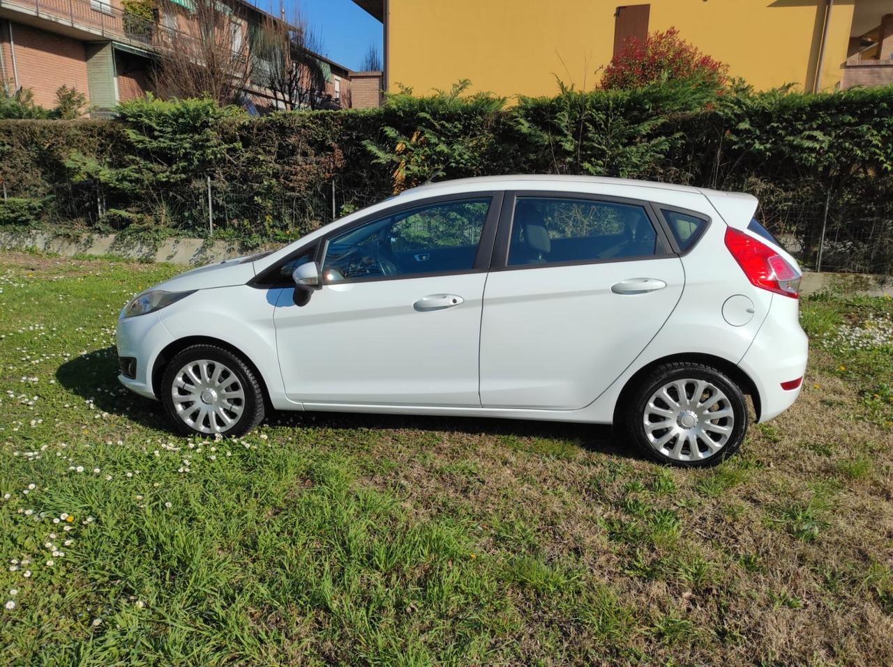 Ford Fiesta 1.4 5 porte Bz.- GPL Black & White Edition