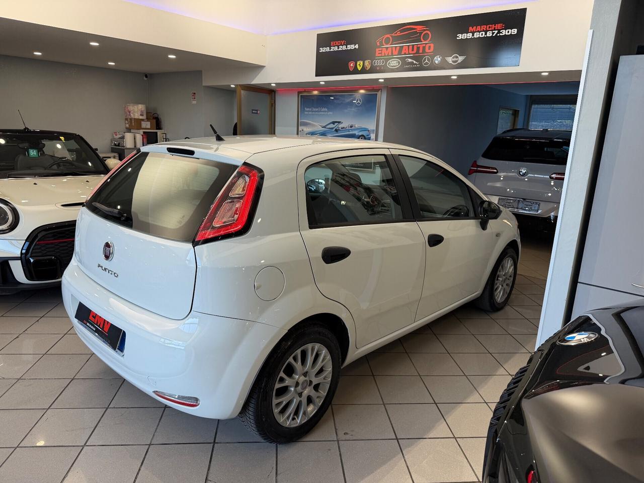 Fiat Punto 1.3 MJT II 75 CV 5 porte Street ok neopatentati